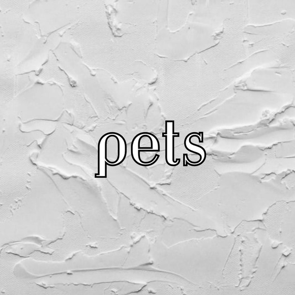 ♡︎ - Picture 10 of 12